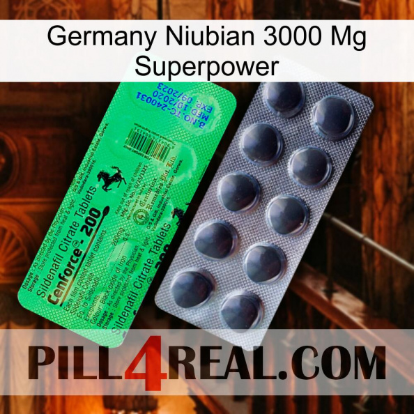 Germany Niubian 3000 Mg Superpower new04.jpg